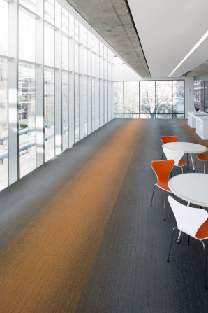 1702340839.png image.png